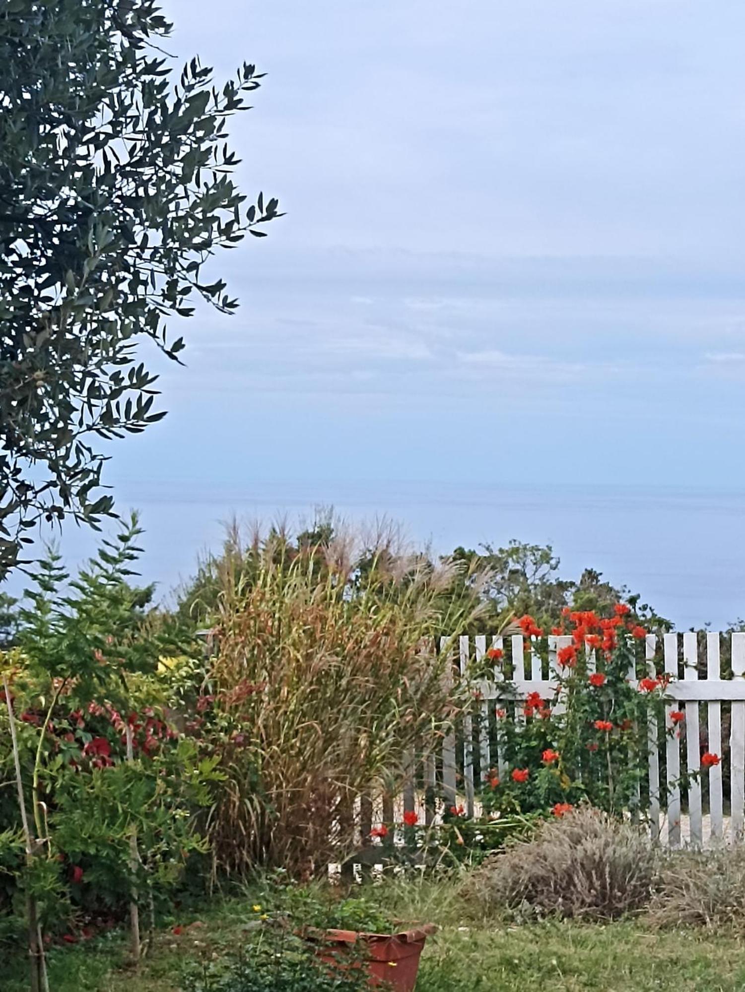 Appartement App Bonic à Veli Lošinj Extérieur photo