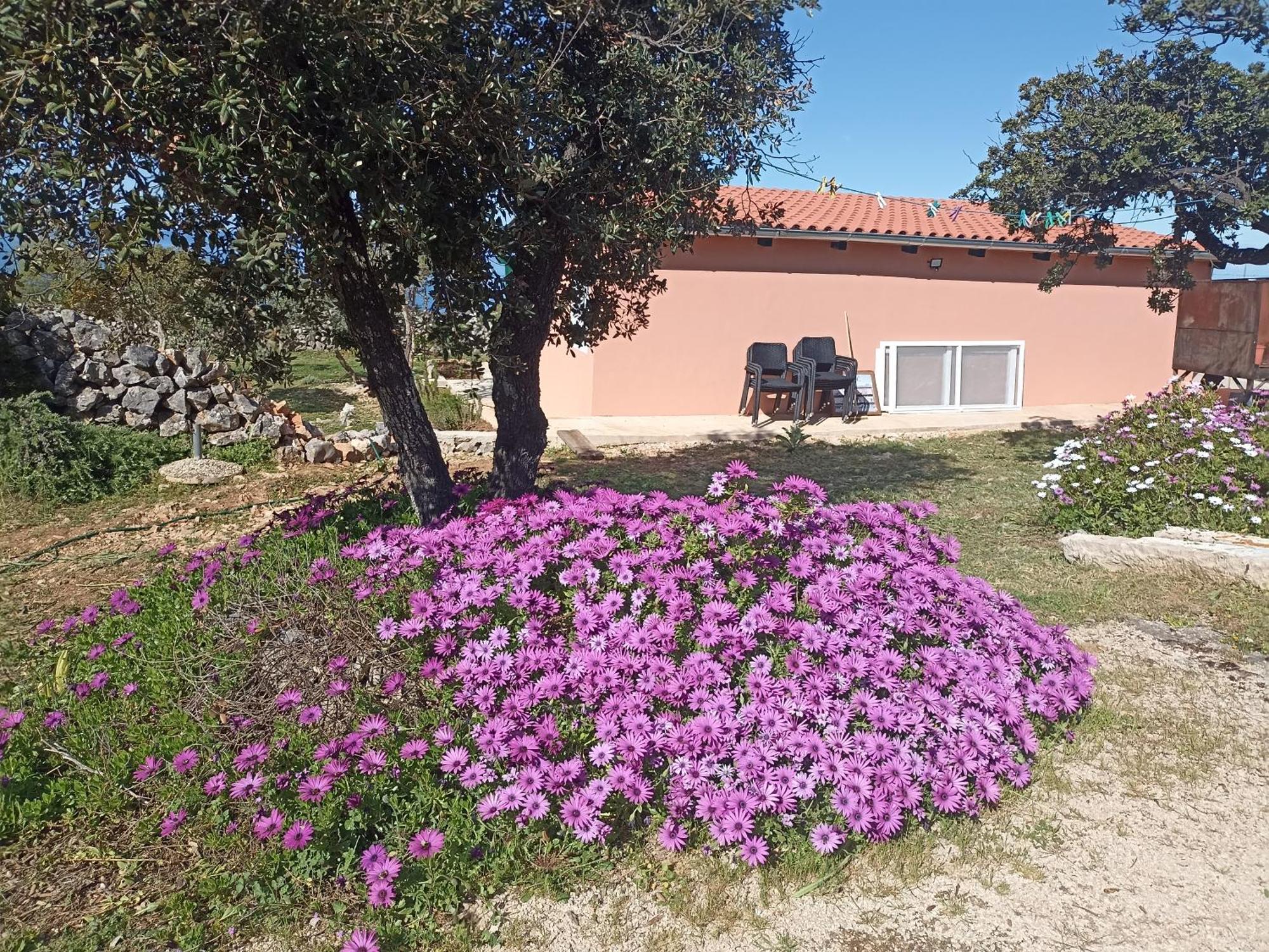 Appartement App Bonic à Veli Lošinj Extérieur photo